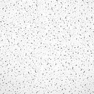 Потолки Армстронг